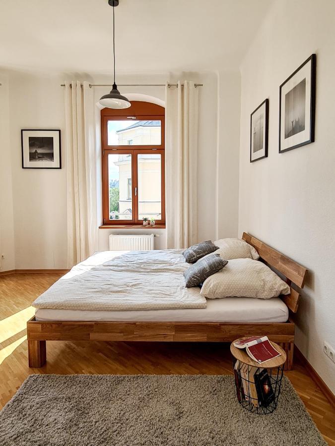 1-Raum-Wohnung Zentral Gelegen Дрезден Экстерьер фото