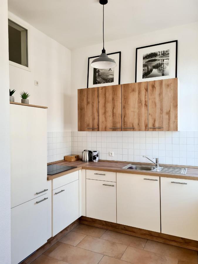 1-Raum-Wohnung Zentral Gelegen Дрезден Экстерьер фото